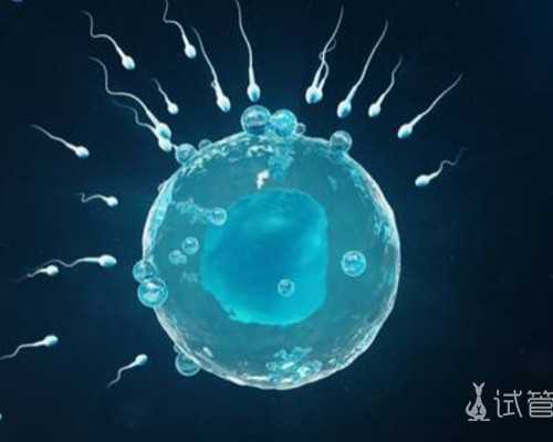 北京供卵咨询中心,2025北京三代试管婴儿医院排名附北京三代试管医院名单