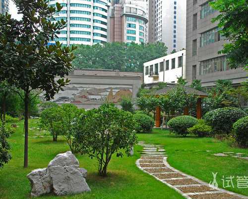 北京专业代孕哪家好,北京前三试管医院排名？在北京做试管必须先建档吗