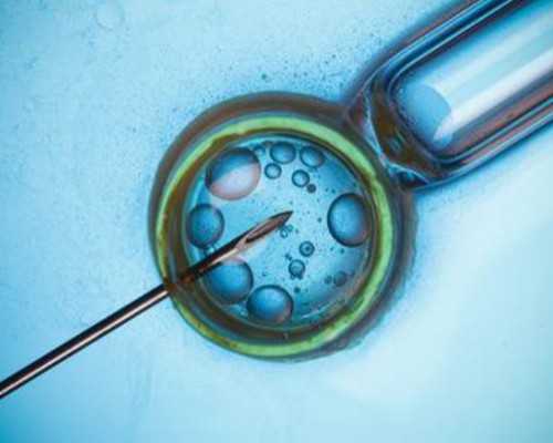 北京私立供卵靠谱,北京卵巢早衰最有权威医院,卵巢早衰北京那个医院好