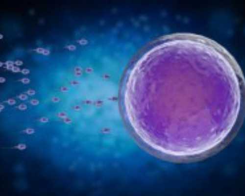 北京代怀助孕,北京精子库志愿者,北京人类精子库有偿招募捐精志愿者