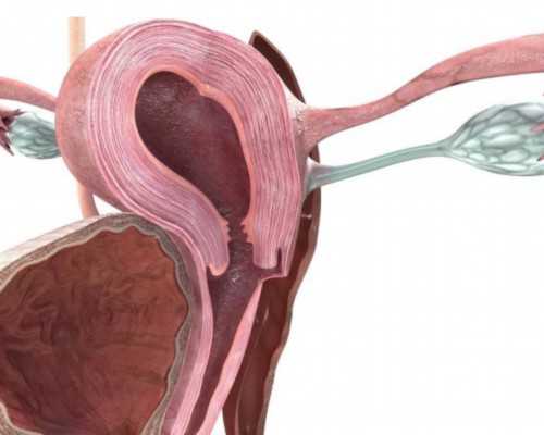 北京代怀技术官网,北京私立试管婴儿