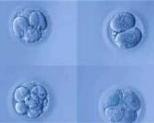 北京有偿代孕网,北京精子库精子多少钱,2025北京精子库申请精子多少钱 北京有偿代孕网,北京精子库精子多少钱,2025北京精子库申请精子多少钱