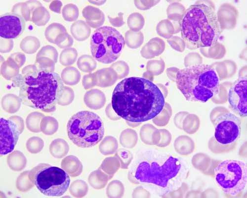 北京靠谱代怀,北京供卵皆去李广零首付,北京供卵都来李广零首付 北京靠谱代怀,北京供卵皆去李广零首付,北京供卵都来李广零首付