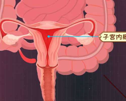 北京代孕网址,北京哪家医院做第三代试管,北京私立试管婴儿医院