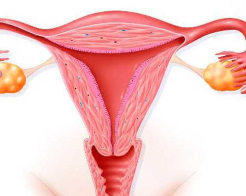 烟台硫磺顶医院试管婴儿费用，2025助孕价格明细表参考