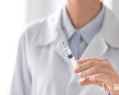 北京权威代孕公司,北京试管婴儿成功率