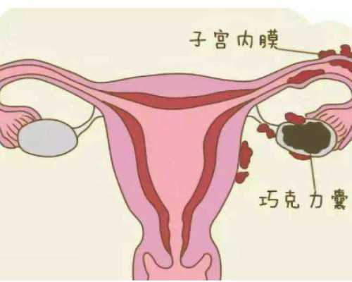 北京代孕资质医院,北京哪些公立医院能做供卵试管？附北京供卵医院推荐