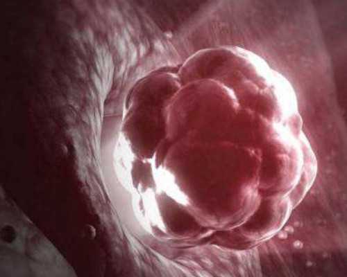 2025第三代试管婴儿包生女儿价格要多少钱?生女儿费用10万够吗? 2025第三代试管婴儿包生女儿价格要多少钱?生女儿费用10万够吗?