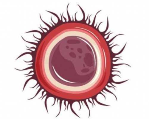 北京捐卵代怀哪里有,北京协和医院做试管怎么样,北京协和医院做试管好吗