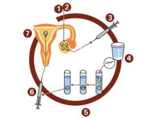 重庆医科大学附属第一医院生殖中心三代试管成功率多少？ 