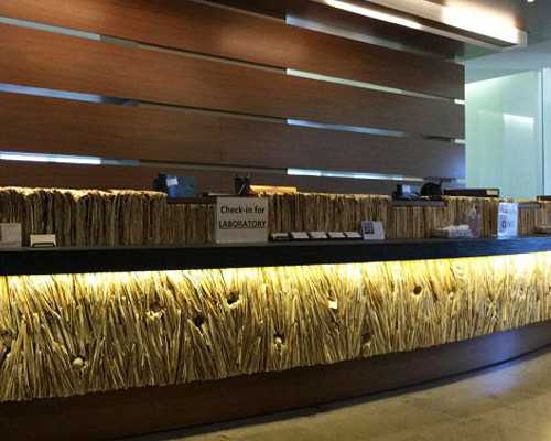 试管囊胚移植后第七天女性胃疼胃胀的厉害应该怎么办？