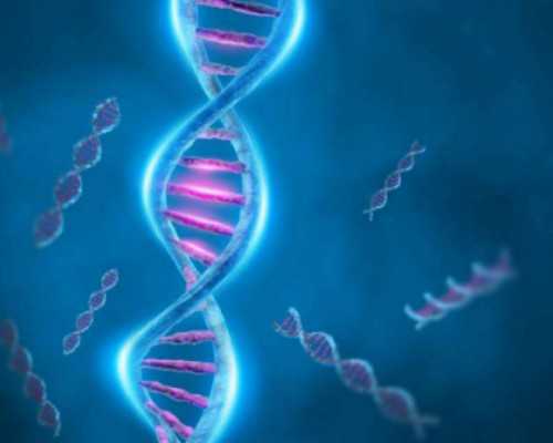 北京代孕公司的价格,北京三院做试管可以选择*龙凤胎吗，北京三院试管