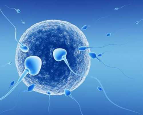 河南农村户口生育二胎的补贴在哪里领取?可以领取多少钱？