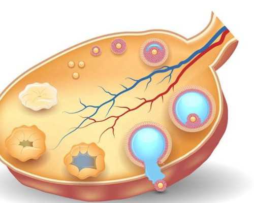 北京试管供卵中心,北京能做试管医院有几家,北京能做试管婴儿的医院有哪些