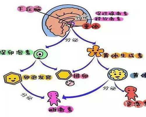 北京代生套餐费用,北京试管婴儿前十医院一览，北京试管婴儿医院排名前十
