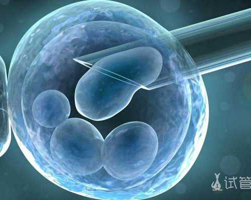 北京代生得子,北京试管供卵微信群 北京代生得子,北京试管供卵微信群