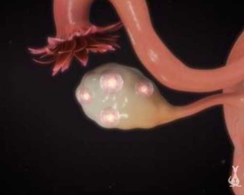 2025哈医大一院试管婴儿导航,费用明细及成功率参考 2025哈医大一院试管婴儿导航,费用明细及成功率参考