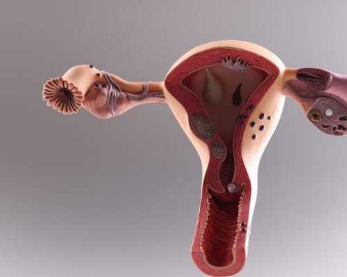 北京借卵生子自怀,北京捐卵博诺供卵