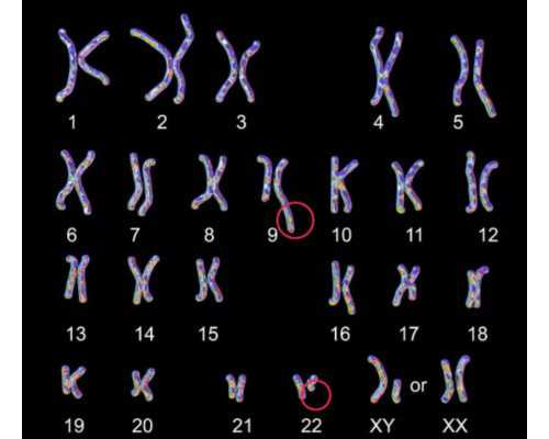 北京代怀中心机构,北京试管婴儿机构名录,北京哪些机构可做试管婴儿 北京代怀中心机构,北京试管婴儿机构名录,北京哪些机构可做试管婴儿