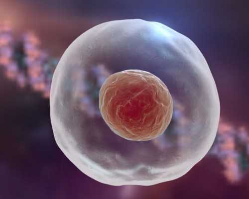 北京代怀男宝,北京看男科无精症医院排名,北京男科医院治疗无精症 北京代怀男宝,北京看男科无精症医院排名,北京男科医院治疗无精症