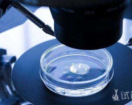 北京代生男孩价格,北京家圆医院好不好,北京家圆医院做试管好不好