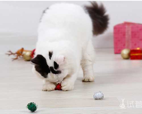 孕妇吃硝苯地平片并不能保胎！会致畸胎儿形非危言耸听