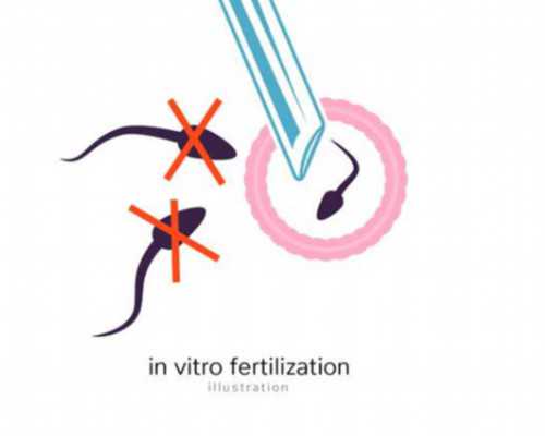 北京正规的供卵,北京哪家医院可以冻卵吗,请问北京哪家医院可以冷冻卵子