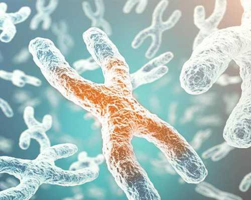 2025聊城二院试管婴儿费用明细，单周期一次助孕并不贵