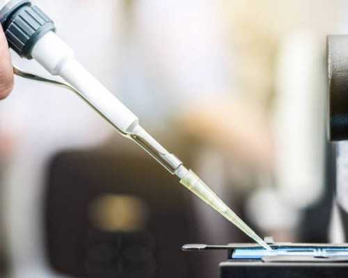 北京哪里有招代怀,北京治疗无精症的公立医院,北京治疗无精症的好医院