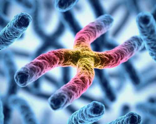 北京代怀费用高吗,北京精子库哪个医院好,北京哪个医院精子库最好最多