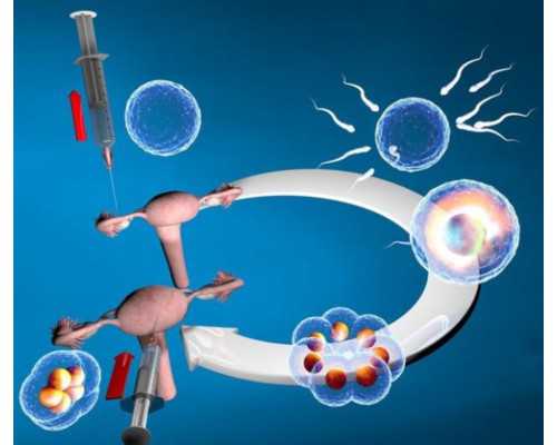 北京试管代孕公立医院,北京301做供卵试管吗,北京供卵301医院做供卵试管受罪吗