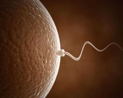 北京三代供卵公司,北京做试管婴儿多少钱,北京现在做试管婴儿花多少钱