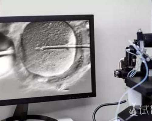 北京最靠谱的代怀,北京试管婴儿怎么样的,北京试管婴儿技术怎么样