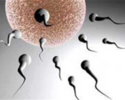 北京有代生公司吗,2025年北京产假规定是多少天(北京产假是158天还是98天)