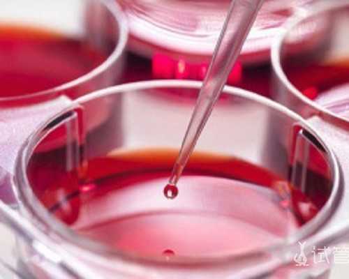 北京正规代孕公司,北京二胎生育津贴是多少?2025北京生育保险报销标准是多少? 北京正规代孕公司,北京二胎生育津贴是多少?2025北京生育保险报销标准是多少?