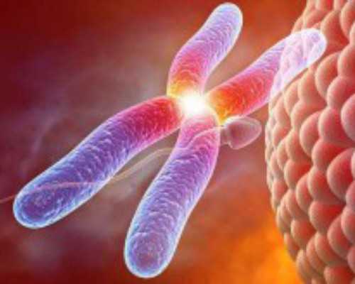 北京试管代孕医院名单,北京协和可以做供卵试管,北京协和医学院试管婴儿流程 北京试管代孕医院名单,北京协和可以做供卵试管,北京协和医学院试管婴儿流程