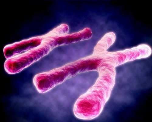 北京高龄借卵,北京做供卵试管哪家医院最靠谱？北京冻卵费用大约多少