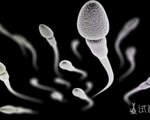 北京代怀孕包性别,北京试管婴儿费用多少,2025年北京做试管婴儿费用是多少