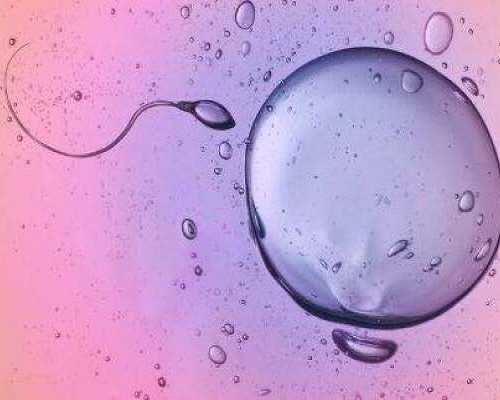 北京专业试管代孕,北京哪个医院可以用精子库,北京哪家医院有精子库