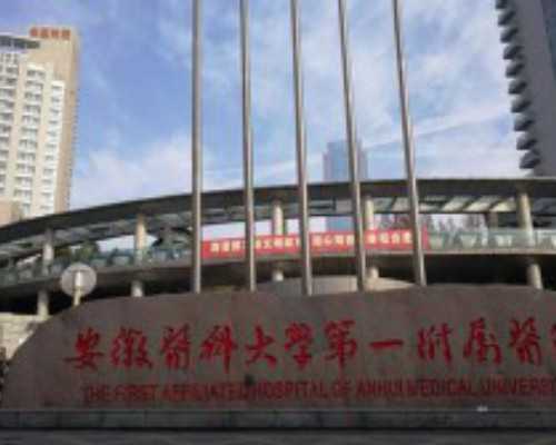 北京医院代孕,北京可做试管婴儿医院,北京试管婴儿十大医院排名