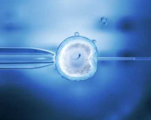 北京代怀网好公司,北京家恩德运试管价格,北京家恩德运医院供卵试管