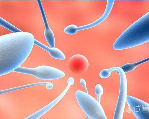 北京试管代孕哪最好,北京做人工授精的医院,北京做人工授精比较好的医院