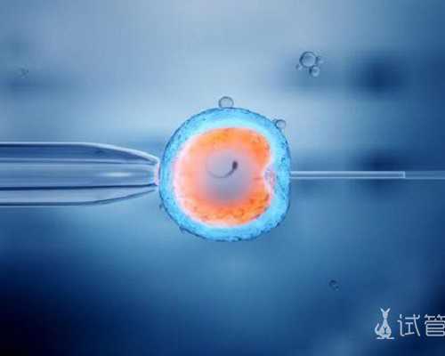 北京国内四代试管,北京哪家私立医院可以做试管？附北京私立试管医院排名？