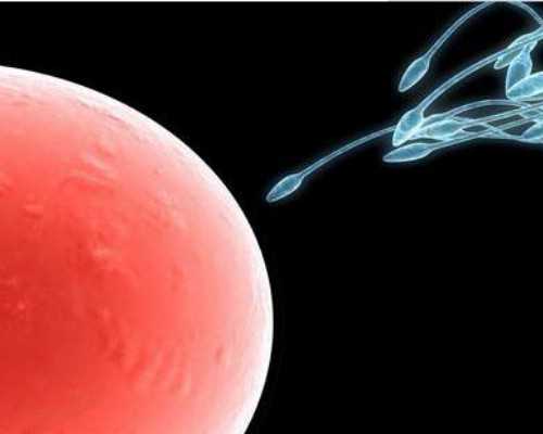 北京提供代怀费用,北京妇产医院试管费用明细,北京妇产医院做试管费用 北京提供代怀费用,北京妇产医院试管费用明细,北京妇产医院做试管费用