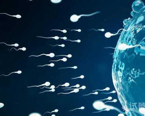 北京供卵医院官网,美国精子库价格表,北京梦美试管婴儿赴美前 北京供卵医院官网,美国精子库价格表,北京梦美试管婴儿赴美前