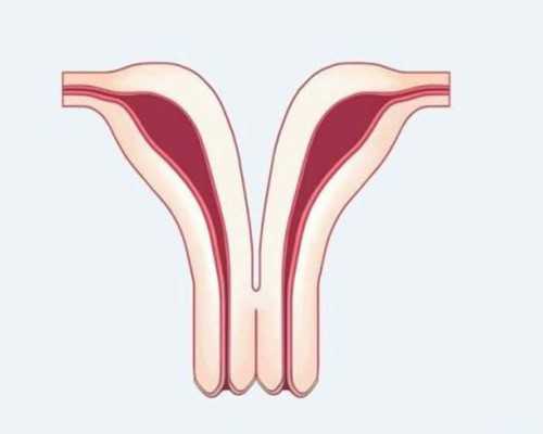 北京代怀孕公司,北京能做gl试管的三甲医院有哪些，北京试管婴儿三甲医院