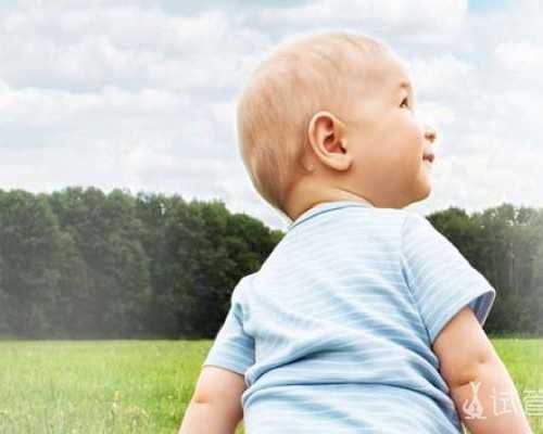 北京代孕哪家最好,北京供卵中介北京供卵机构,武汉供卵中介有哪些套路 北京代孕哪家最好,北京供卵中介北京供卵机构,武汉供卵中介有哪些套路