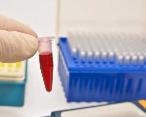 北京供卵中心官网,北京协和试管成功率高吗,北京协和医院试管成功率高吗 北京供卵中心官网,北京协和试管成功率高吗,北京协和医院试管成功率高吗