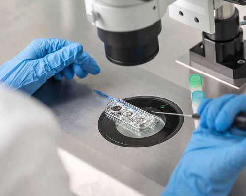 河南2025三胎奖励最新政策？2025年河南三胎政策是怎样的？