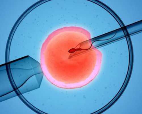 北京试管婴儿代孕套餐,北京三代试管私立医院排名怎样北京三代试管经验分享